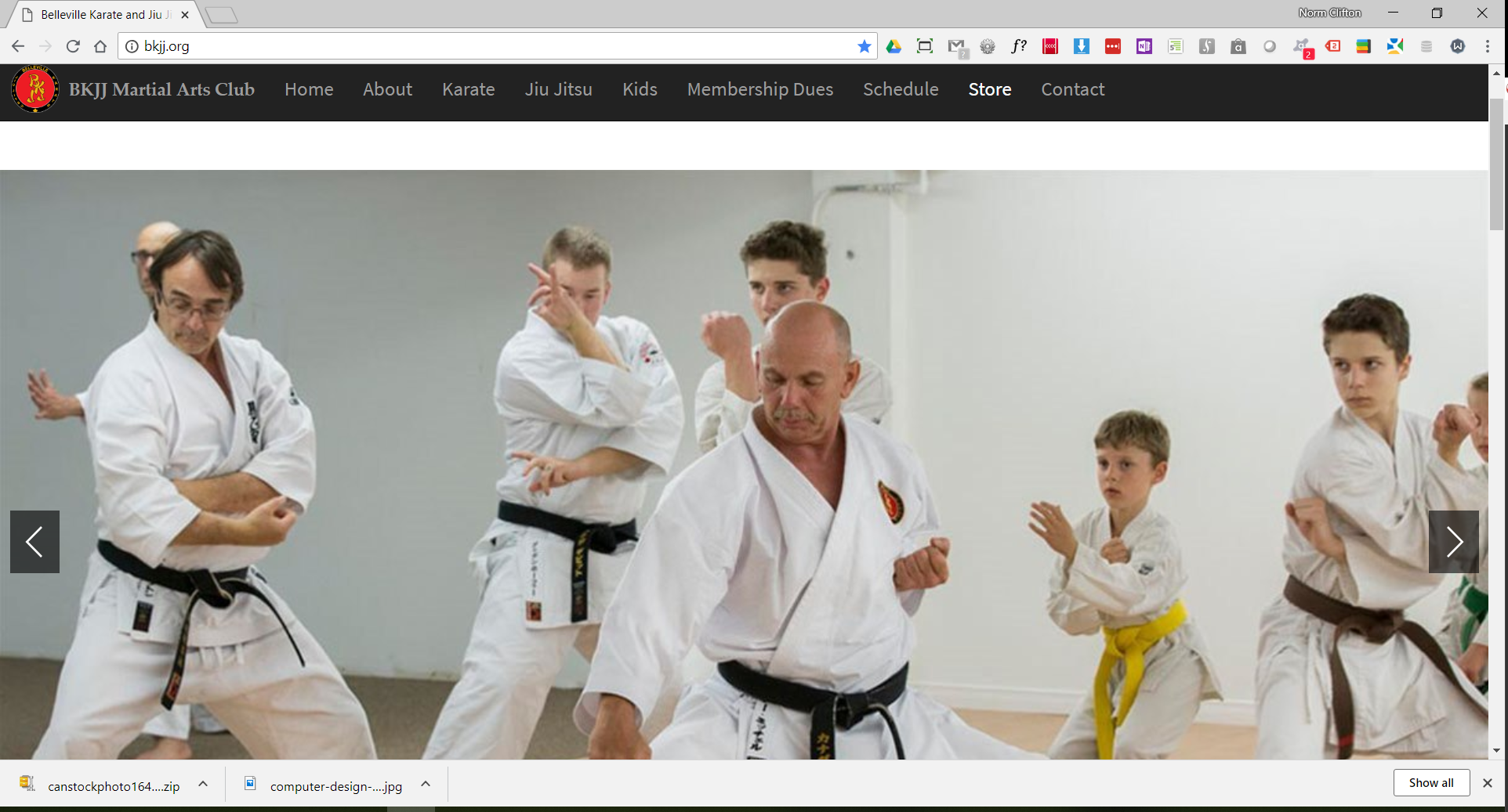 website snapshot