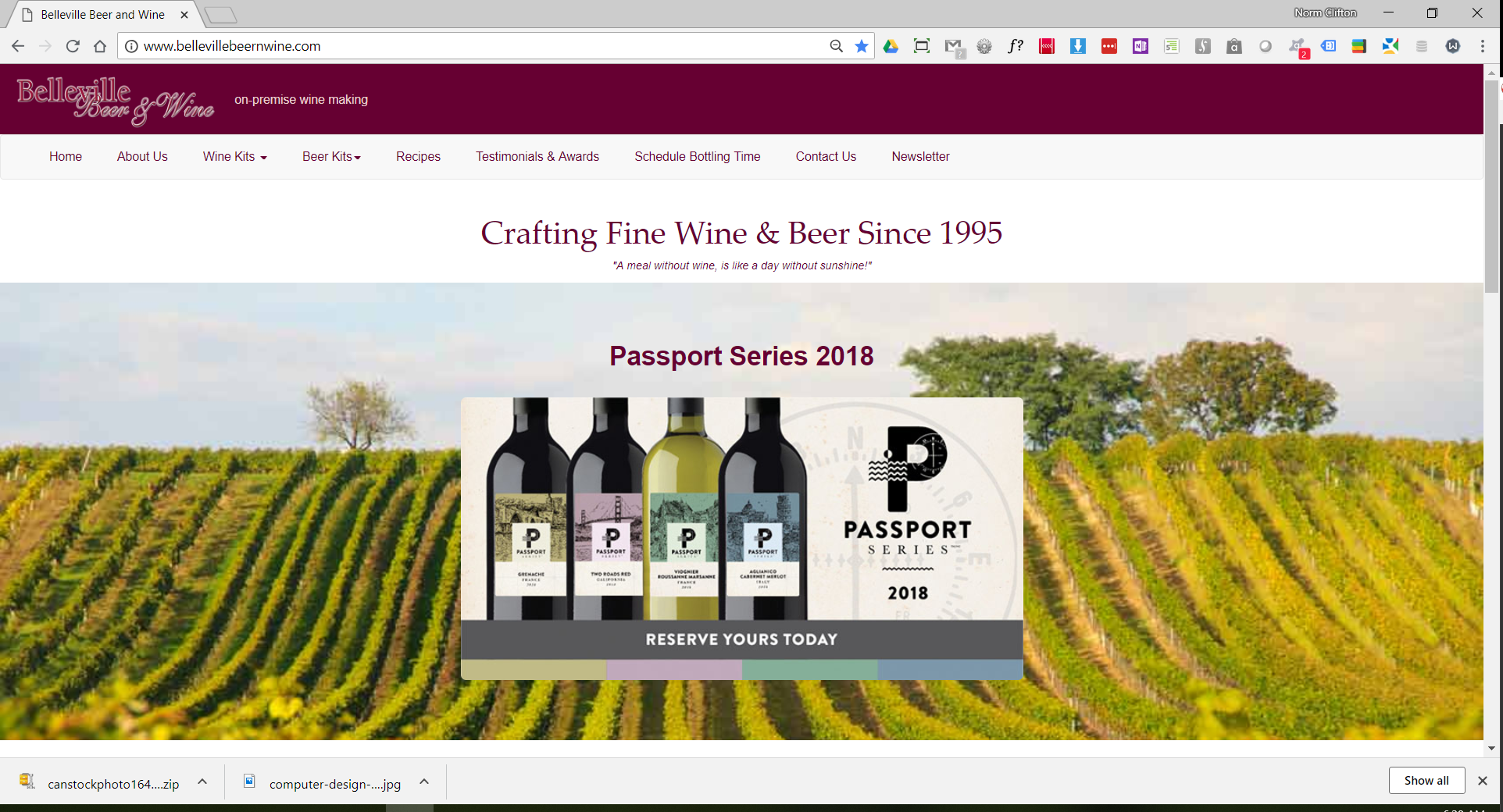 website snapshot